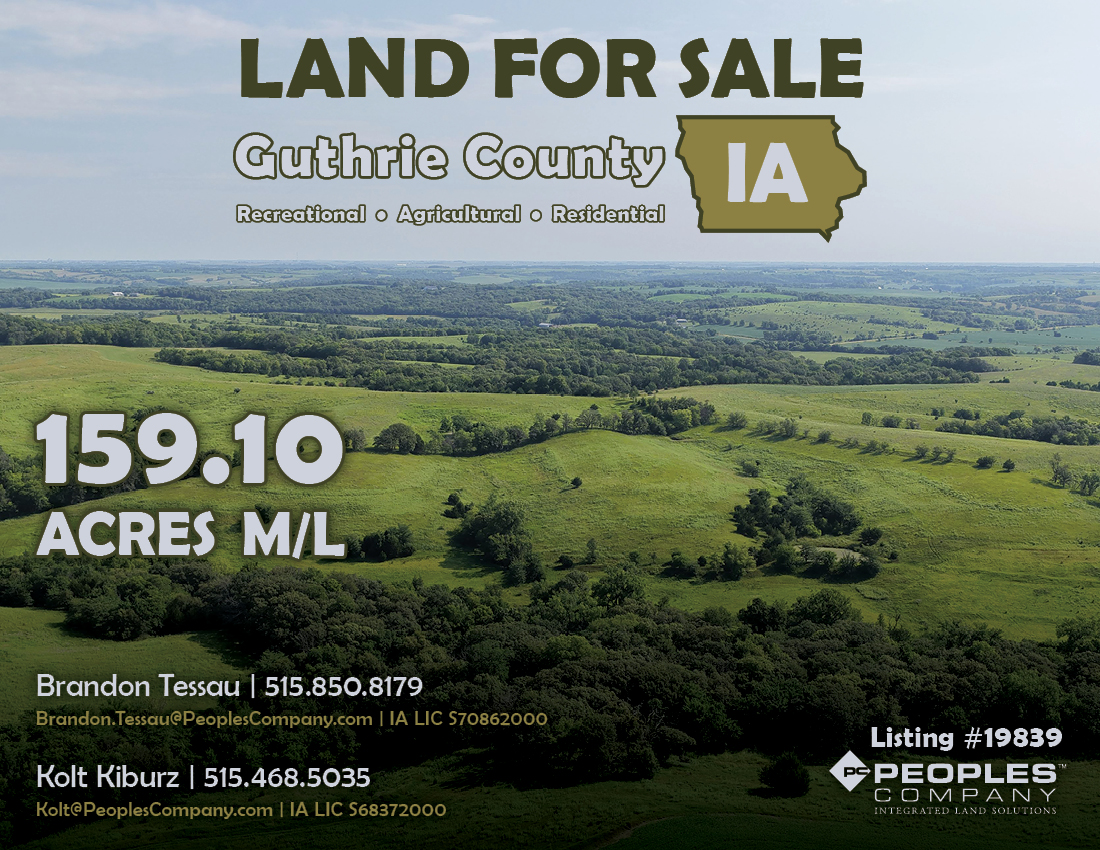 Listing #19839